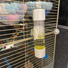 鸚鵡撞針飲水器鳥用水壺自動喂水器虎皮玄鳳八哥專用喝水器用品 撞針喂水器（250ml） 曬單實拍圖