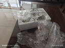 長帝（changdi）廚師機(jī)和面機(jī)面食面條機(jī)機(jī)壓面發(fā)面揉面機(jī)家用雙刀頂部智控輕音面包機(jī)CE6005（C6）小奶豬6L CE6005【奶芙綠】 6L 曬單實(shí)拍圖
