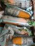 王老寶東北黃糯玉米  甜糯玉米棒 新鮮真空包裝加熱  即食黏玉米 迷你小黃糯150-180克 小棒 10個 曬單實(shí)拍圖