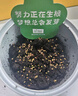 IAM City Farmer番茄罐頭盆栽 兒童種植小盆栽綠植種子diy室內(nèi)觀察種植作業(yè)10061 曬單實拍圖
