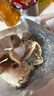 元寶蟹鉗生鮮特大號(hào)新鮮螃蟹鉗海鮮蟹腳饅頭蟹腿冷凍水產(chǎn)批發(fā) 【2斤元寶蟹鉗】嘗鮮裝 曬單實(shí)拍圖