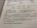 【銷量過萬】【官方直營-京東同城配送】可選高一學(xué)期2026學(xué)習(xí)探究診斷必修第一冊(cè)第二冊(cè)第三冊(cè)語文數(shù)學(xué)英語物理化學(xué)思想政治歷史地理生物第16版 學(xué)探診 北京西城區(qū) 物理必修第一冊(cè)第16版 曬單實(shí)拍圖