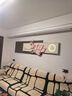 凡展輕奢浮雕客廳裝飾畫現(xiàn)代簡約創(chuàng)意高級感沙發(fā)背景墻面掛畫燈光壁畫 玉蘭春曉 高60cm*長240cm帶燈光插電款 立體浮雕工藝掛畫 曬單實拍圖