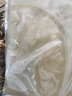 禾花鯉禾花魚烏鯉魚淡水食用魚稻田魚養(yǎng)殖魚魚苗包郵包活到家 禾花鯉魚2-3厘米1000條送20% 曬單實拍圖