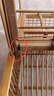 畫(huà)眉踏籠拍籠兩踏防風(fēng)款竹制手工鳥(niǎo)籠 長(cháng)46.5寬27高26 籠+鉤子+杯子 曬單實(shí)拍圖