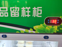 啟盟商廚食品留樣柜冷藏保鮮幼兒園帶鎖餐廳食堂單門(mén)家用冰箱商用展示柜 53*53*120cm【帶溫度顯示】雙鎖 曬單實(shí)拍圖