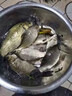 骉祥純正蝦粉釣魚(yú)南極磷蝦超濃腥餌料誘魚(yú)添加劑黑坑野釣鯽鯉魚(yú)餌e蝦粉1瓶【500ml】 曬單實(shí)拍圖