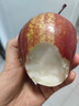 鑫果滋陜西彩虹梨 秦嶺早酥紅梨子新鮮水果當(dāng)季脆甜紅皮梨 8.5-9斤【超劃算】 大果（每斤約2-3個） 曬單實拍圖