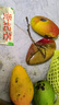 三萌果蔬芒果 新鮮貴妃芒水果海南當季水果爆甜多汁芒果水仙貴妃 9斤精選裝【單果60g+】?jì)糁?斤 曬單實(shí)拍圖
