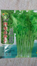 四季小香芹種子秋季盆栽香味濃郁實(shí)心芹菜籽四季可栽種蔬菜種子 精選良品芹菜種子【新種】 1包約999粒 曬單實(shí)拍圖