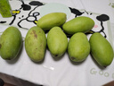 越南玉芒當季新鮮水果9斤現(xiàn)摘應(yīng)季芒果高糖大青芒大果批發(fā)價整箱 精選裝-(5斤) 特大果-(500g+) 曬單實拍圖