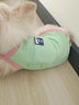 PUPPY GALLERY韓國進(jìn)口戶(hù)外經(jīng)典涼涼衣背心寵物狗衣服夏天夏季小狗中小型犬比熊 芭樂(lè )綠 XL 曬單實(shí)拍圖