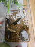 派樂特烏龜?shù)咨程烊霍~缸造景底砂水族箱造景裝飾原石鋪面水培木紋石1kg 曬單實拍圖