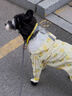 E7 生活小狗雨衣服四腳防水全包比熊小型犬寵物雨天遛狗防臟神器12-16斤 雨衣（包腳-包尾-可牽引）XL 曬單實拍圖