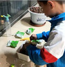 兒童種植小盆栽可食用蔬菜種植套裝盲盒薄荷6到12歲透明陽(yáng)臺 蔬果種植箱15件套 曬單實(shí)拍圖