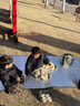 361°防潮墊鋁膜墊戶(hù)外露營(yíng)墊子加厚防水防潮隔熱宿舍鋁膜睡墊 優(yōu)質(zhì)鋁膜[200*150*0.4]收納袋 曬單實(shí)拍圖
