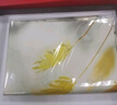 上海故事（STORY Of SHANGHAI）真絲絲巾女真絲高檔重磅真絲披肩媽媽生日禮物女 迷夢(mèng)月桂 曬單實(shí)拍圖
