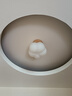 奶油風(fēng)過道燈現(xiàn)代簡約走廊入戶玄關(guān)燈陽臺(tái)衣帽間原木南瓜燈吸頂 木棉花原木色-明裝-三色 曬單實(shí)拍圖