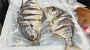 【順豐包郵】廣東陽(yáng)江特 產(chǎn)金鯧魚干 漁民農(nóng)家日曬海魚干淡口風(fēng)干 6條【200-250克/條】共約1350克 曬單實(shí)拍圖