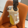 嬉皮狗（hipidog）狗狗救生衣寵物玩水衣服泰迪比熊柴犬中小型幼犬夏天游泳專用衣服 黃色 XS （建議體重1-3斤） 曬單實(shí)拍圖