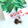 旱煙種子葉子煙籽東北老漢煙亞布力種籽大葉關東老品種黃煙種子 2克 原廠包裝  約2000粒 曬單實拍圖