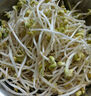 米特樂芙有機(jī)豆芽菜 新鮮黃豆芽 新鮮蔬菜孕產(chǎn)食材無農(nóng)殘化肥激素產(chǎn)地直發(fā) 有機(jī)黃豆芽200g 曬單實拍圖