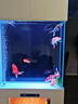 新概念魚(yú)缸客廳帶柜子辦公室組合一體式自循環(huán)免換水生態(tài)玻璃底濾水族箱 尺寸顏色都可定制按實(shí)際算價(jià) 曬單實(shí)拍圖