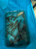 蚯蚓活餌鮮活紅蟲垂釣魚餌料鯽魚鯉魚野釣黑坑魚料打窩料魚食通殺 活體蚯蚓一斤（小號(hào)）送營養(yǎng)土 曬單實(shí)拍圖