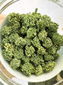 胖東來品三七花云南文山特級24年新花降壓茶野生田七花的功效作用 【250g】24年新花：：高品質(zhì)五年花 曬單實(shí)拍圖