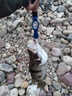 YGK PE JP 5鉤串鉤防纏繞釣組大物鯽魚(yú)昂刺翹嘴通殺伊勢尼拋竿海竿魚(yú)鉤套裝 伊勢尼【橙盒5鉤】50克鉛 各五個(gè) 10 曬單實(shí)拍圖