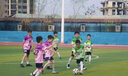 KAIRIHU兒童足球服套裝男女童定制秋冬四件套小學(xué)生比賽訓(xùn)練隊(duì)服運(yùn)動(dòng)球衣 YL-9233紫色（四件套） 兒童22碼（120-130cm 60-70斤） 曬單實(shí)拍圖