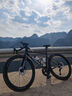 SPECIALIZED閃電 S-WORKS TARMAC SL8 碳纖維公路自行車車架 碳黑色/變色金/金屬白銀 52 曬單實(shí)拍圖