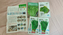 壽禾蔬菜種子批發(fā)大全山東壽光青菜四季秋冬蔬菜之鄉(xiāng)品質(zhì)種籽陽(yáng)臺(tái)菜籽 獨(dú)根紅韭菜種子12gx2包 曬單實(shí)拍圖