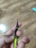 小鳳仙硬尾夜光漂咬鉤變色高靈敏度日夜兩用鯽魚漂醒目野釣鰱鳙納米浮漂 SDL03-2鯉草鳊大鯽魚 吃鉛2.7g 高亮硬尾【咬鉤變色】+1電池 曬單實(shí)拍圖