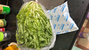 【順豐】羽衣甘藍(lán) 新鮮沙拉菜 都市健康輕食蔬菜 苦菊500g 曬單實拍圖