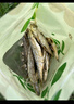 農家火焙小魚干干貨小魚仔淡水無鹽去肚餐條魚小河魚湖南特產新貨 淡水小魚干100g*3袋 曬單實拍圖