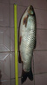 老G草黑傳說(shuō)草青草殺手顆粒魚(yú)餌草魚(yú)青魚(yú)餌草魚(yú)青魚(yú)巨物大物 草黑傳說(shuō)G窩 1200g（1包） 曬單實(shí)拍圖