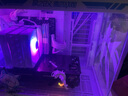 華碩i5 14600KF/U7 265K/285K/AMD銳龍7800X3D/9800X3D無卡準系統(tǒng)過度機組裝電腦DIY臺式整機游戲主機 R7 9800X3D+48G 1TB無卡主機 配八 曬單實拍圖