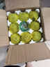 格沃斯5斤八里香花姑娘香瓜脆甜多汁水果花蕾甜瓜新鮮現(xiàn)摘整箱應季3斤 帶箱5.1斤中果（8-12個） 曬單實拍圖