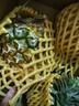 金鉆菠蘿海南鳳梨當季香水菠蘿大果現(xiàn)摘現(xiàn)發(fā)熱帶水果爆甜 帶箱約5.5斤【當日現(xiàn)摘】 金鉆中果【單個約1-1.5斤】 曬單實拍圖