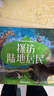 兒童動(dòng)物科普手電筒膠片書 3-12歲小手電大探秘系列新版 動(dòng)物家園大探秘科普百科書 套裝4冊(cè) 潛入水下世界 搜尋洞中秘密 探訪陸地居民 發(fā)現(xiàn)身邊鄰居 全4冊(cè)】動(dòng)物家園大探秘系列 曬單實(shí)拍圖