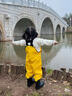 熊火兒童趕海連體玩水衣服全身防水雨褲雨靴一體下水褲涉水幼兒園裝備 檸檬黃兒童玩水褲【2025新款】 26 /27 曬單實(shí)拍圖