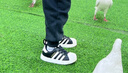 阿迪達(dá)斯（adidas）童鞋春秋款男女小童經(jīng)典三葉草彈力鞋帶貝殼頭運(yùn)動鞋IH3503 曬單實拍圖