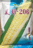 京農(nóng)研玉米種子336甜糯玉米黑白鮮食水果玉米農(nóng)科院大田打糧玉米種籽孑 美珍206鮮食甜玉米 約330粒 曬單實(shí)拍圖