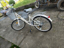 飛鴿飛鴿自行車成人青少年學(xué)生城市通勤變速輕便復(fù)古公路單車 【珍珠白】單速+充氣胎 24寸 適合身高145-175cm 曬單實(shí)拍圖