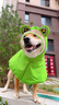 華元寵具（hoopet）柴犬雨衣柯基青蛙斗篷夏季小狗小中型犬防水防臟外出寵物狗狗雨披 M-脖圍44CM背長46cm建議23-30斤 曬單實拍圖