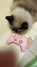 極想hello Kitty聯(lián)名游戲手柄無(wú)線藍(lán)牙女生switch手柄適配switchPro/PC手機(jī)Steam體感無(wú)限暖暖雙影奇境 Hello Kitty聯(lián)名【50周年】紀(jì)念版手柄 曬單實(shí)拍圖