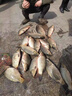 霸統(tǒng)鯉魚小藥黑坑專用套裝主攻正釣偷驢滑口回鍋魚餌料促食套餐添加劑 高溫套裝鯉霸+綜合開胃+中藥酒 曬單實(shí)拍圖