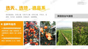 ppt代制作高端PPT代做排版美化設計定制幻燈片醫學(xué)述職報告幫忙做工作匯報企業(yè)宣傳答辯演講課件模板 ppt代制作5 曬單實(shí)拍圖