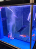 森森超白魚(yú)缸水族箱客廳大型底濾專(zhuān)業(yè)龍魚(yú)缸智能生態(tài)懶人魚(yú)缸 經(jīng)典黑 （高缸矮柜）ID屏風(fēng)款100長(cháng)x43寬x152高 曬單實(shí)拍圖